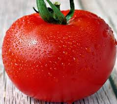 Red Cloud Tomato Seeds for Planting - heirloom & Non GMO Seeds